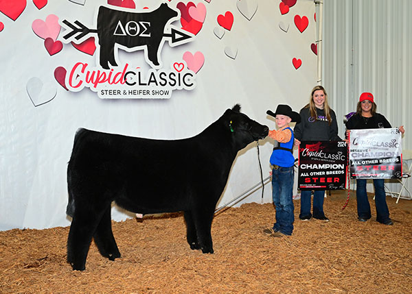 2023 Champion AOB Steer