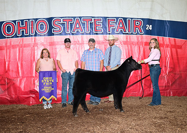 2024 Grand Champion Chiangus Female