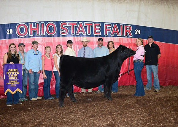 2024 Grand Champion Angus Heifer