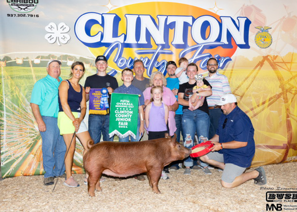 2024 Champion Tamworth and 5th Overall Breeding Gilt