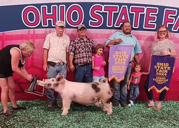 2024 Grand Champion Crossbred Boar and Reserve Champion Best of Buckeye Supreme Boar