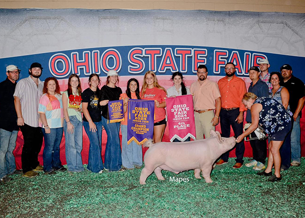 2024 Grand Champion Light Cross Barrow and 4th Overall Barrow