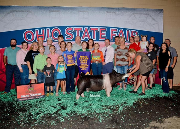 2024 Grand Champion Overall Market Gilt