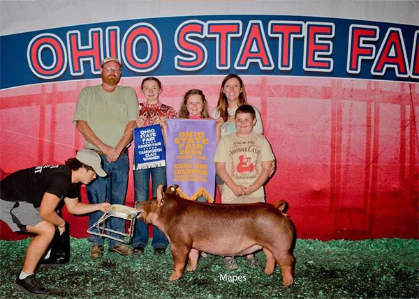 2024 Reserve Champion Tamworth Gilt