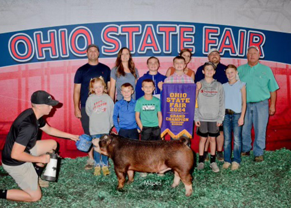 2024 Champion Hereford Barrow