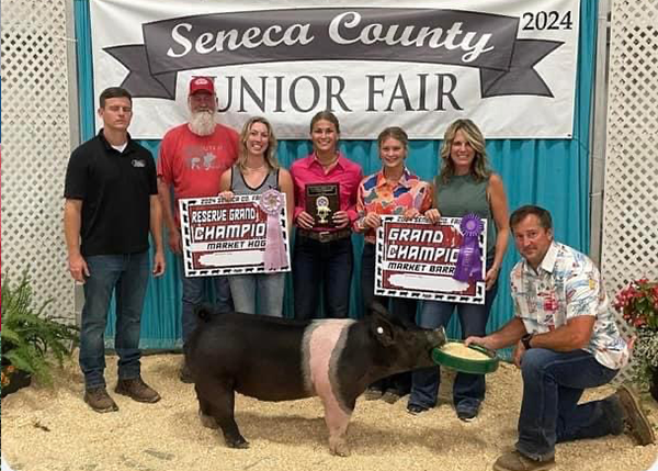 2024 Grand Champion Market Barrow and Reserve Champion Market Hog