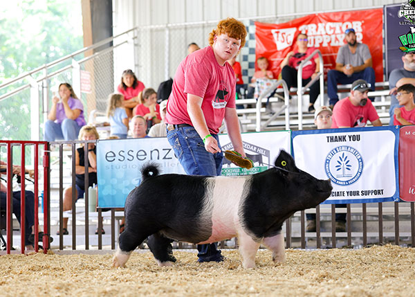 2025 Clermont County Born n Raised Show