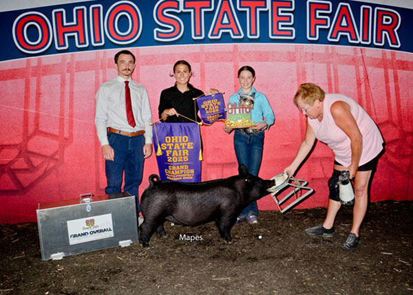 2025 Ohio State Fair Overall Grand Champion Prospect Breeding Gilt
