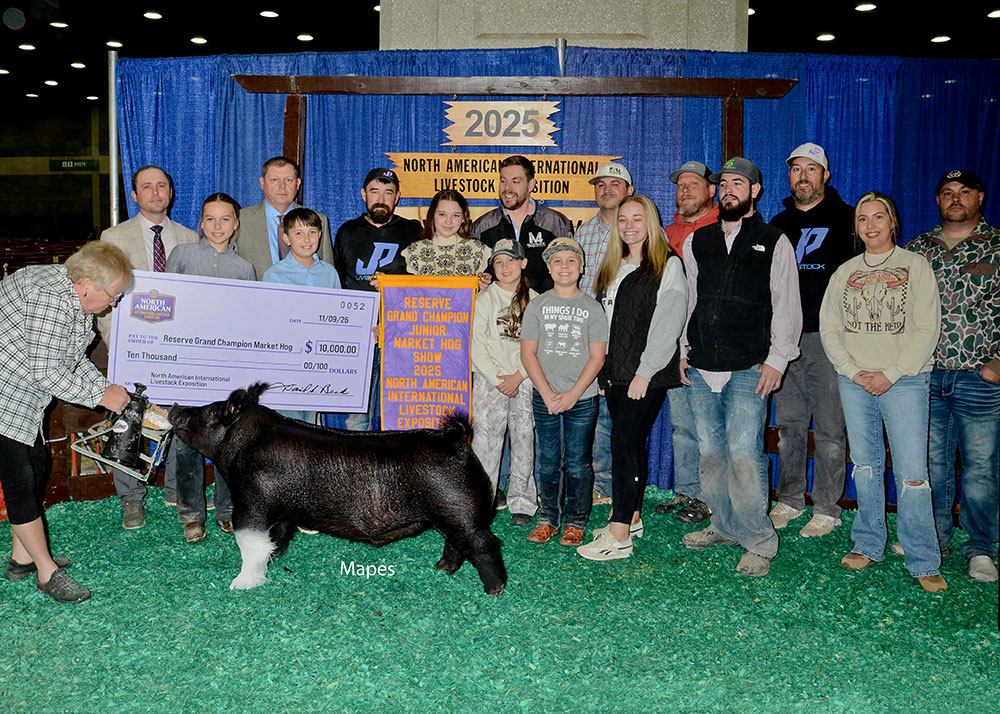 2025 NAILE Reserve Grand Champion Junior Market Hog