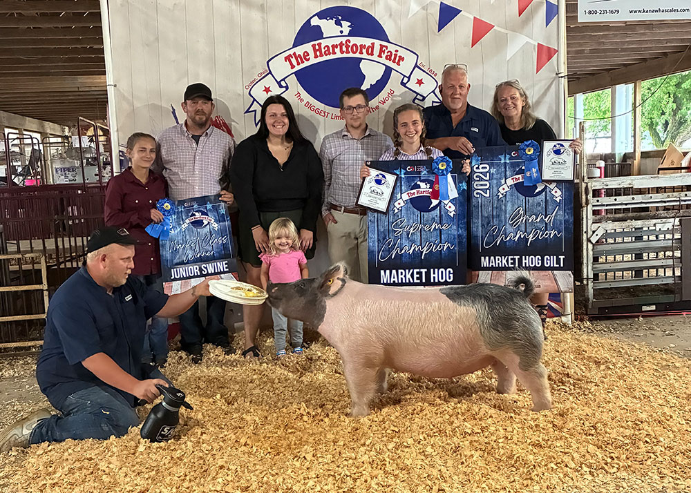 2026 Hartford Fair Supreme Grand Champion Market Hog