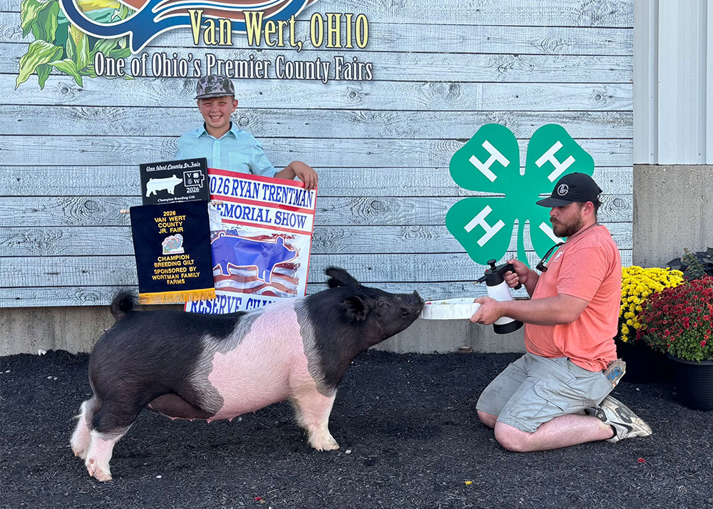 2026 Van Wert County Jr. Fair Grand Champion Breeding Gilt