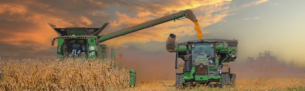 Ingredient Sourcing: How We Choose the Grains That Go Into Our Feed